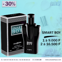 Parfums Smart Boy